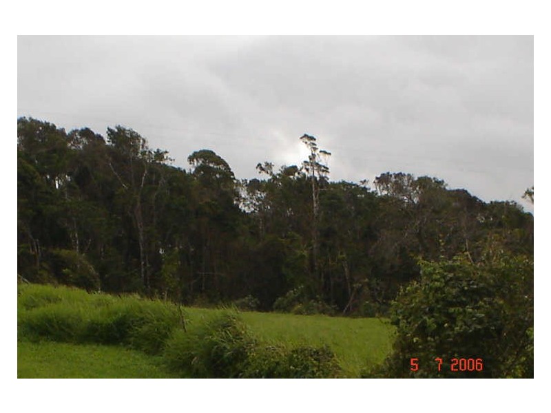 Millaa Millaa QLD 4886