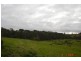 Millaa Millaa QLD 4886