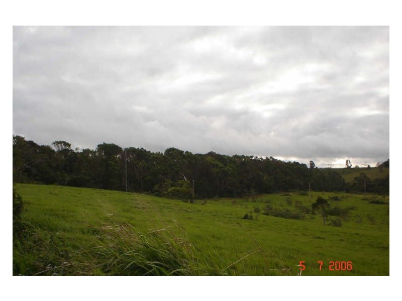 Millaa Millaa QLD 4886