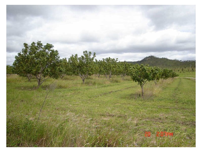 Dimbulah QLD 4872