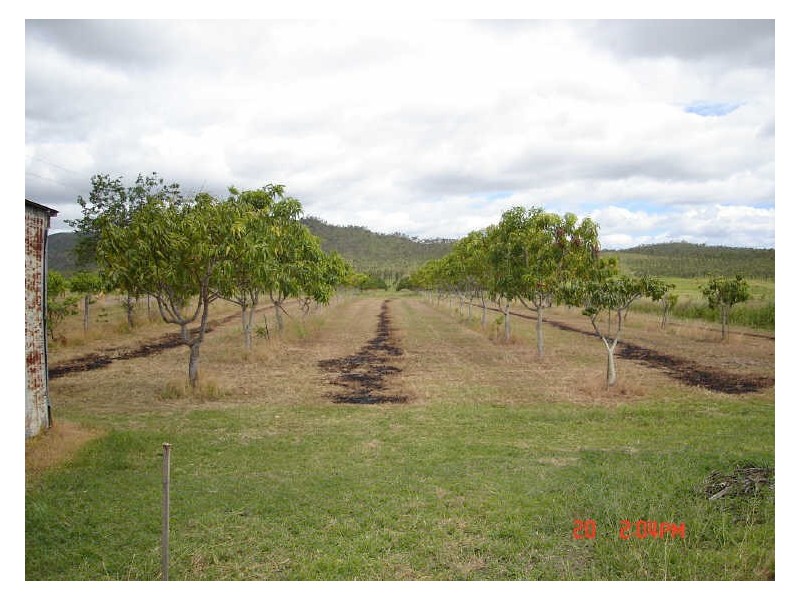 Dimbulah QLD 4872
