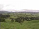 Millaa Millaa QLD 4886