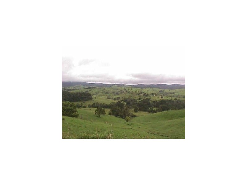 Millaa Millaa QLD 4886