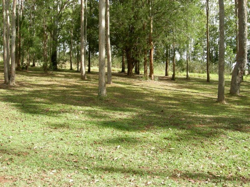 RN20 Bushnell Road – Wondecla via, Herberton QLD 4887