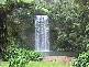 Millaa Millaa QLD 4886