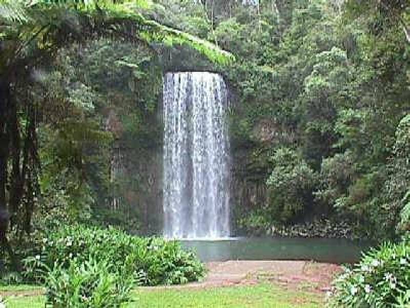 Millaa Millaa QLD 4886