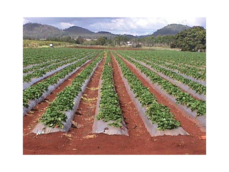 L25 Gillies Highway, Atherton QLD 4883