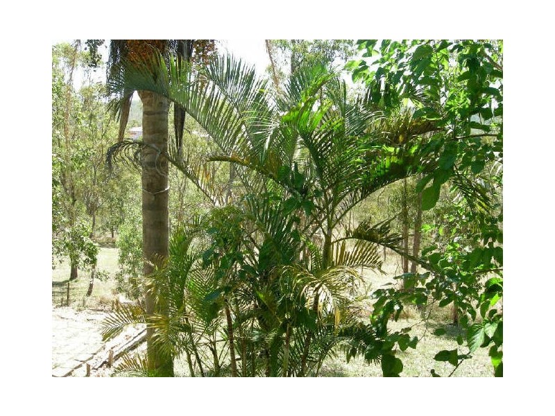 9 Mowbray Road, Herberton QLD 4887