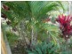 4 Mowbray Road – Herberton via, Atherton QLD 4883