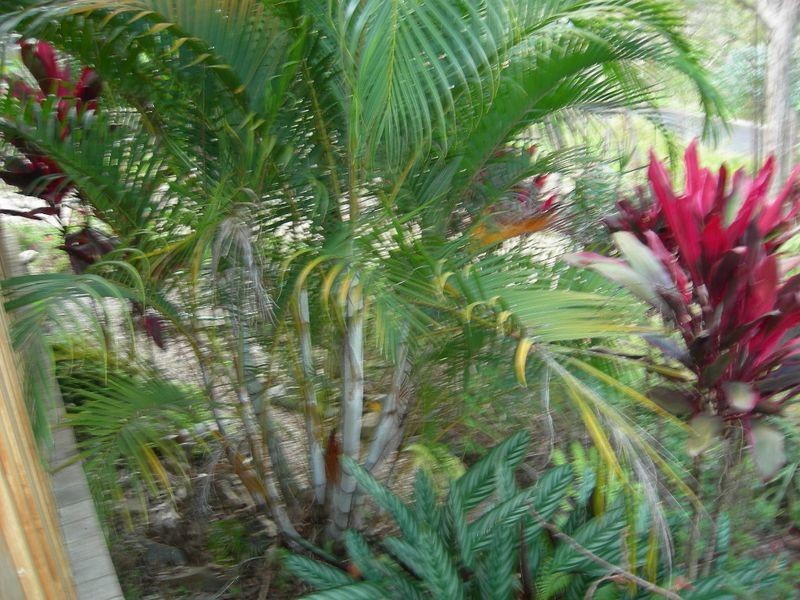4 Mowbray Road – Herberton via, Atherton QLD 4883