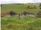 Tarzali QLD 4885