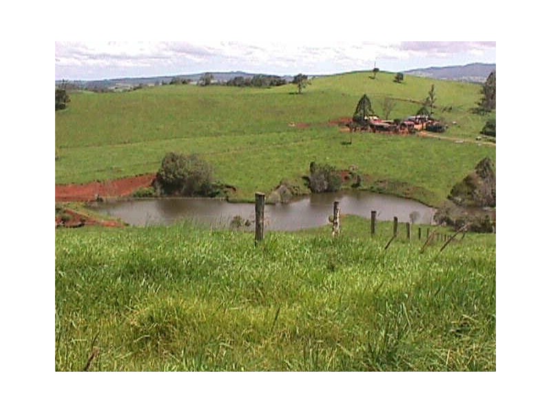 Tarzali QLD 4885