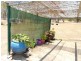 RN9 Ludlow Road, Wondecla QLD 4887