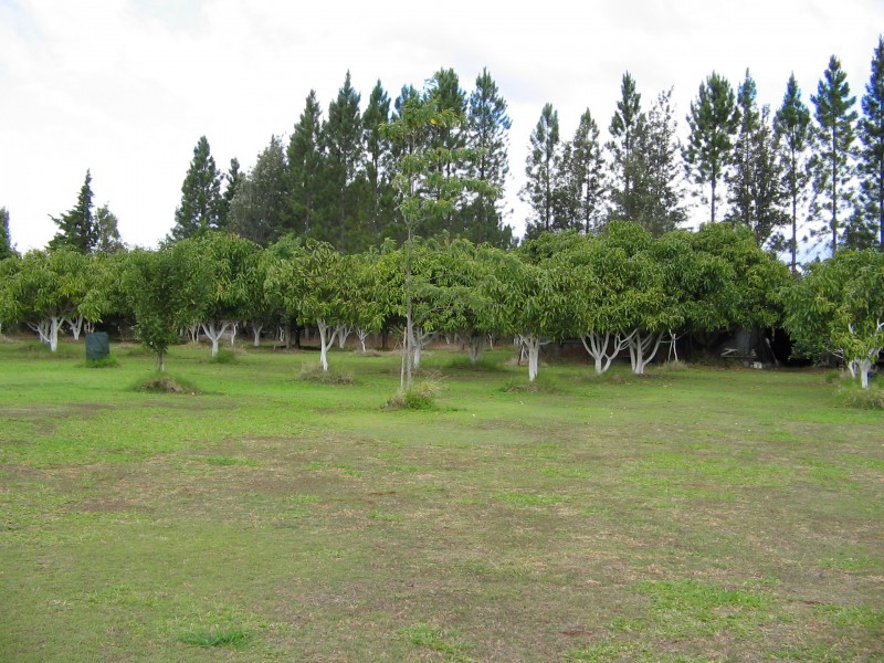 Herberton QLD 4887