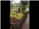 53 Hogan Hosie Road Tarzali, Malanda QLD 4885
