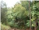 53 Hogan Hosie Road Tarzali, Malanda QLD 4885