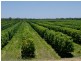 Georgetown QLD 4871