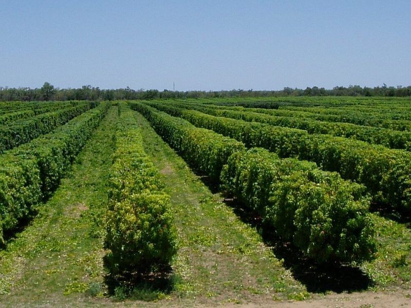 Georgetown QLD 4871