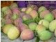 Georgetown QLD 4871