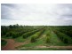 Georgetown QLD 4871