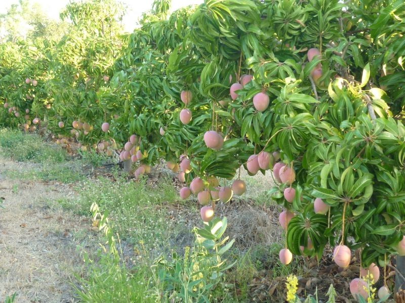 Georgetown QLD 4871