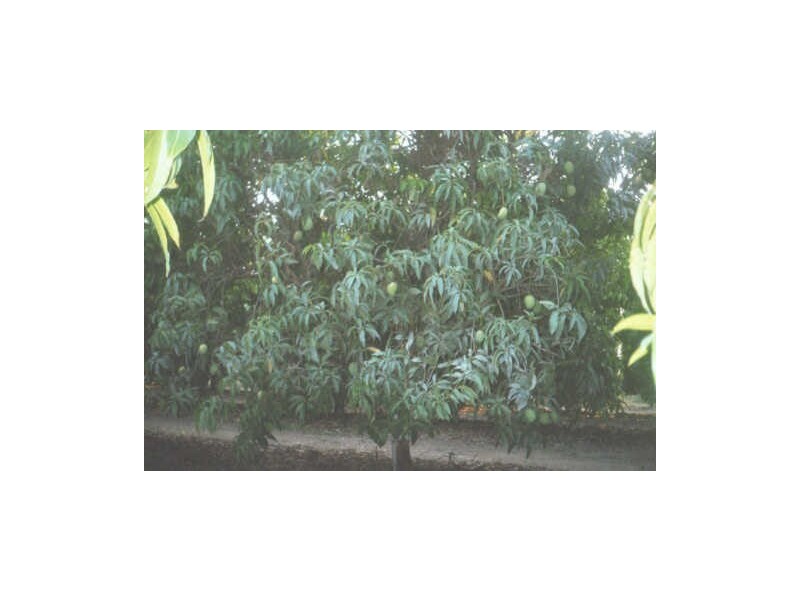 Georgetown QLD 4871
