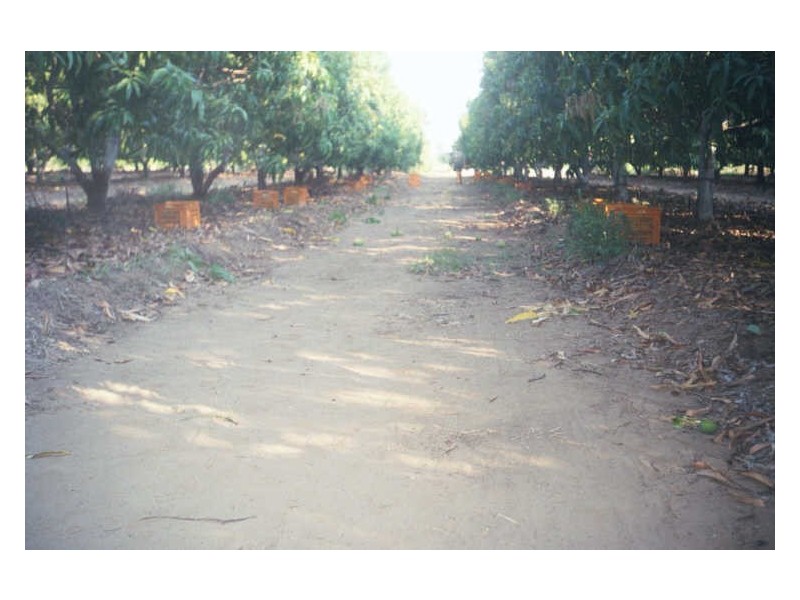 Georgetown QLD 4871