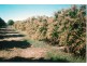 Georgetown QLD 4871