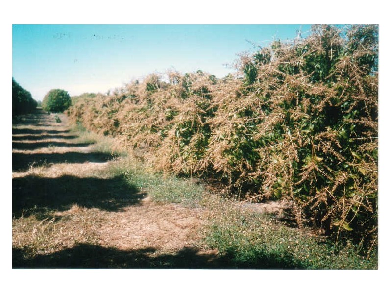 Georgetown QLD 4871