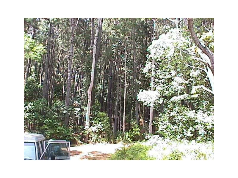 Ravenshoe QLD 4888