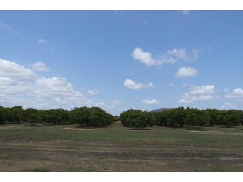 Mareeba QLD 4880