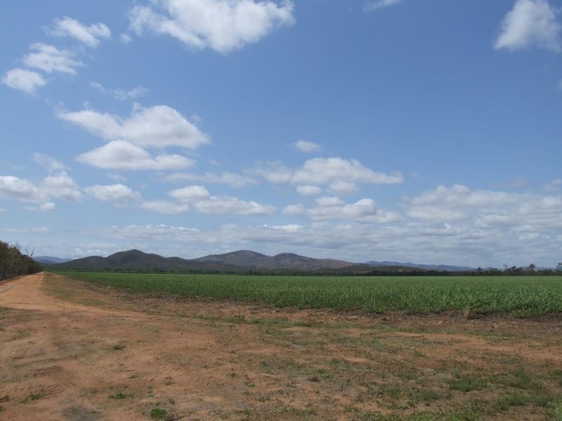 Mareeba QLD 4880