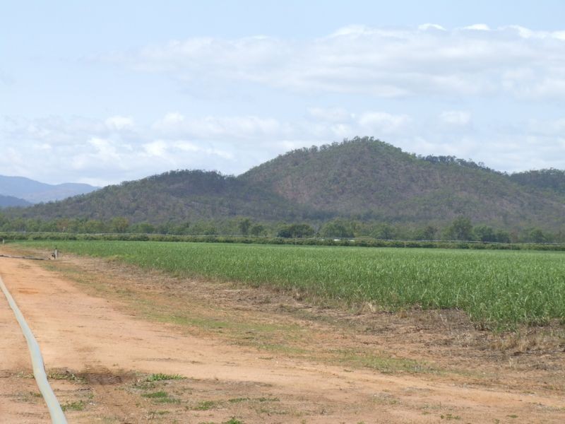 Mareeba QLD 4880