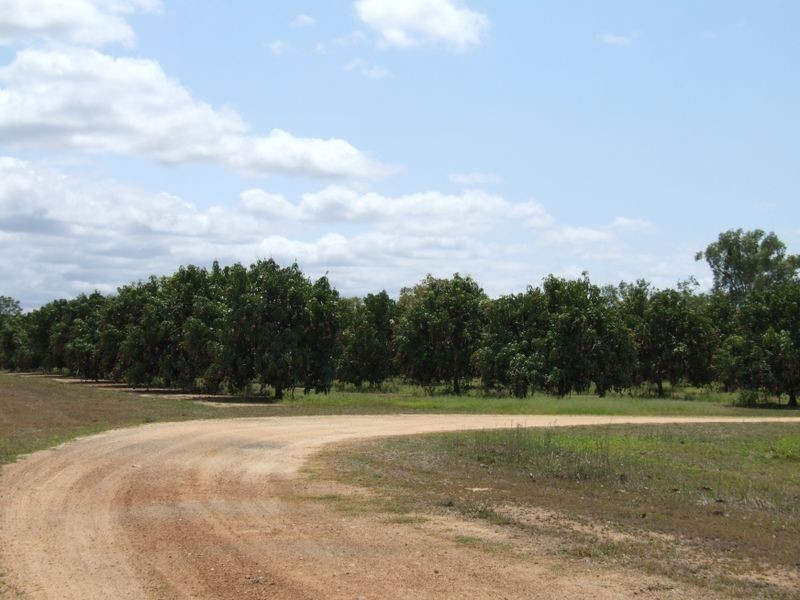 Mareeba QLD 4880