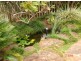 Yungaburra QLD 4884