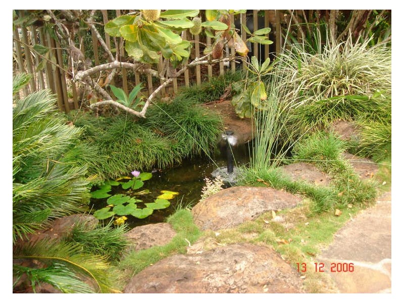 Yungaburra QLD 4884
