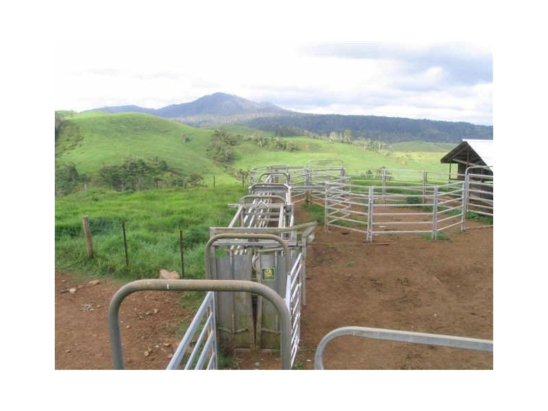 Millaa Millaa QLD 4886