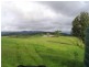 Millaa Millaa QLD 4886