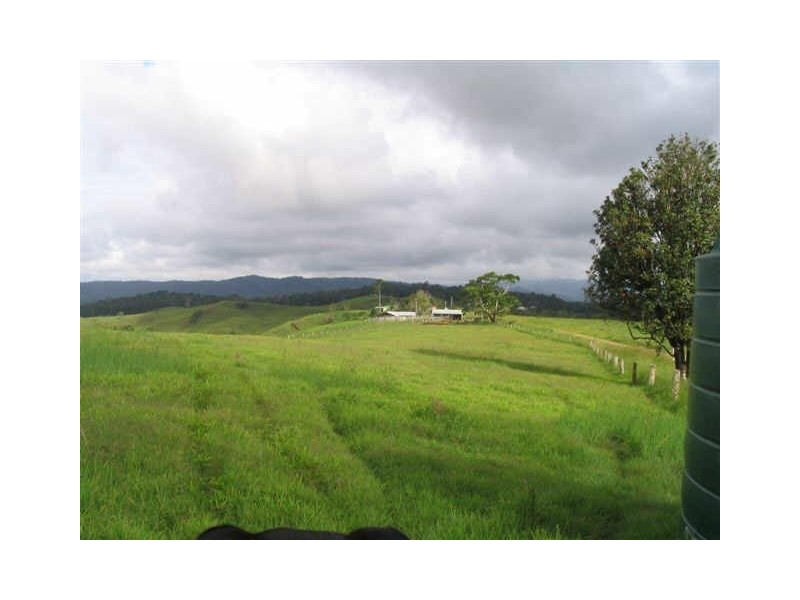 Millaa Millaa QLD 4886