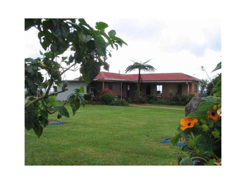 Millaa Millaa QLD 4886