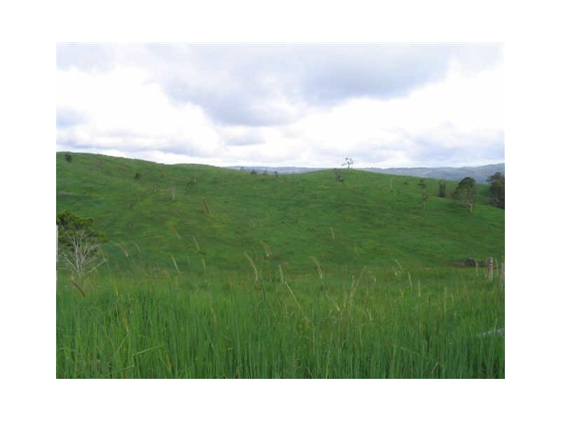 Millaa Millaa QLD 4886