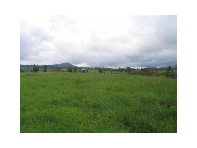 Millaa Millaa QLD 4886