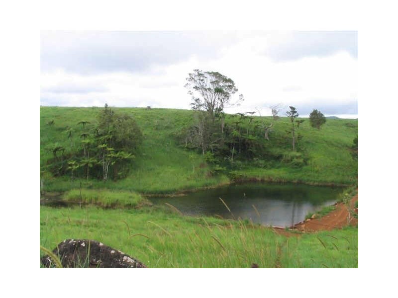 Millaa Millaa QLD 4886