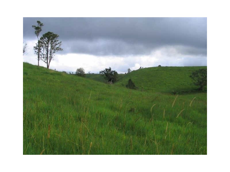 Millaa Millaa QLD 4886