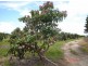 L3 Springfield Rd, Almaden QLD 4871