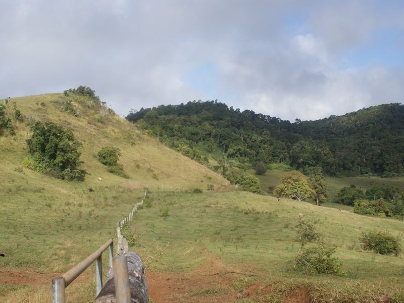 Malanda QLD 4885