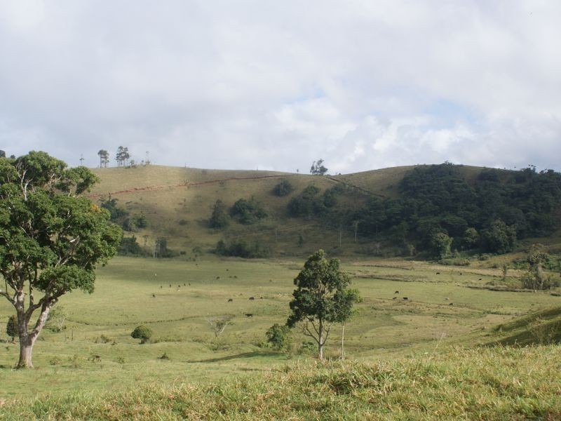 Malanda QLD 4885
