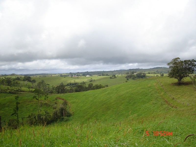 Millaa Millaa QLD 4886