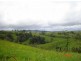 Millaa Millaa QLD 4886