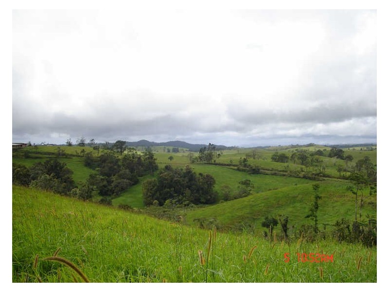 Millaa Millaa QLD 4886